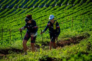 BIB: 
                            <button type="button" onclick="openModal(19160486)" class="btn btn-primary btn-sm float-right btn-popup" data-toggle="modal" data-target=".modal-high-quality">
                        <i class="fas fa-shopping-cart"></i> Add to Cart
                    </button>
                                            <button type="button" onclick="isThisMe(19160486, true)" class="btn btn-success btn-sm float-right btn-popup btn-isme hidden" data-toggle="tooltip" data-placement="bottom" title="นี่คือรูปของคุณใช่ไหม คลิกที่นี่เพื่อเอาเข้าอัลบั้ม">
                        <i class="fas fa-plus"></i> Add to album
                    </button>
                    <button type="button" onclick="isThisMe(19160486, false)" class="btn btn-warning btn-sm float-right btn-popup btn-isnotme hidden">
                        <i class="fas fa-ban"></i> Remove from album
                    </button>